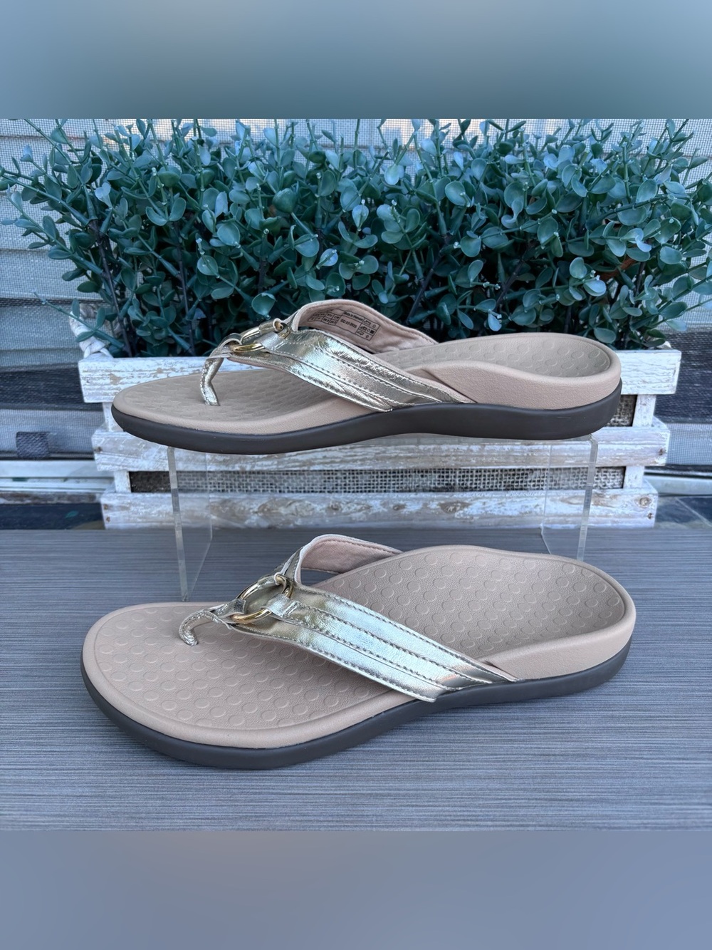 Vionic Women's Tide Aloe Toe-Post Sandals